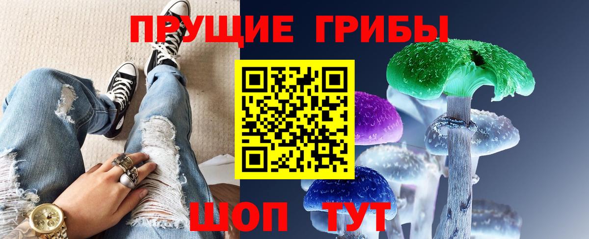 Новозыбков  Псилоцибиновые грибы Cubensis  Вход с VPN 