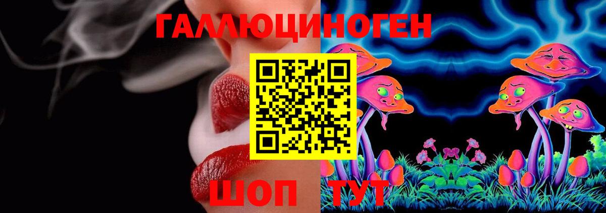Псилоцибиновые грибы мухоморы Новозыбков